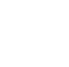 Pulse Security Logo